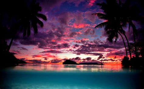 Landscape Nature Tahiti Sunset Palm Trees Island Beach