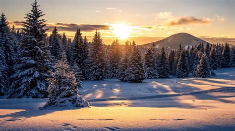 Austria Forest Nature Snow Sunset Winter Hd Nature Wallpapers Hd