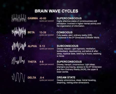 Brain Wave States Alpha 8 States Of Consciousness Brain Waves Greed