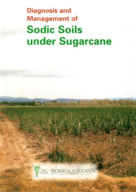 Diagnosis And Management Of Sodic Soils Under Sugarcane