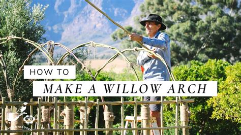 How To Make A Willow Arch For Climbing Veggies Or Roses Babylonstoren