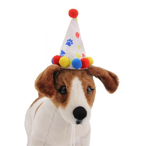 2 wide and 3 tall. Paw Print Birthday Dog Hat with Same Day Shipping | BaxterBoo