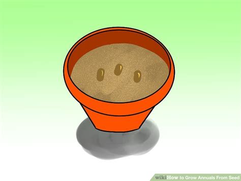 Learn how to grow your own annuals, which are easy to grow from seed. 4 Ways to Grow Annuals From Seed - wikiHow