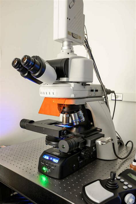 Nikon C2 Laser Scanning Confocal Microscope Optical Microscopy Core