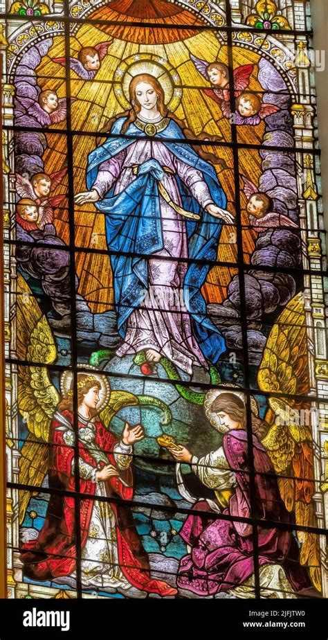 Assumption Virgin Mary Stained Glass Gesu Catholic Church Miami Florida