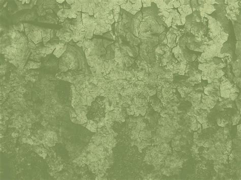 Sage Green Wallpaper Wallpapersafari