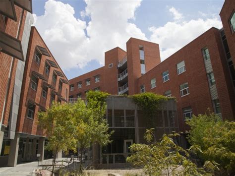 University Of Arizona Dorms Housing And Residential Life