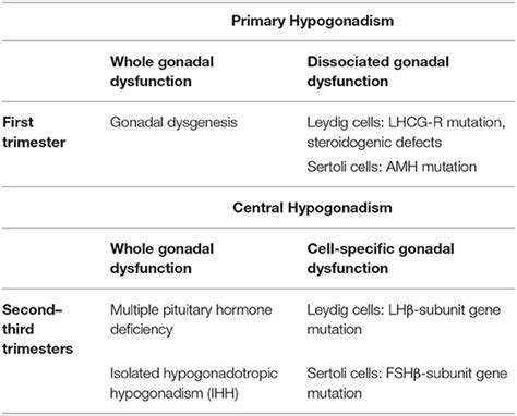 Frontiers Male Hypogonadism And Disorders Of Sex Development