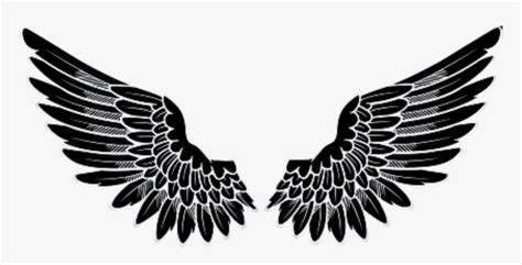Angel Wings Logo Png Transparent Png Transparent Png Image Pngitem