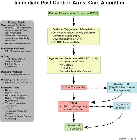 Acls Algorithms Review Acute Coronary Syndromes Algorithm Artofit