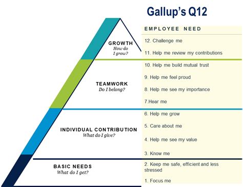 Gallup Organization Survey