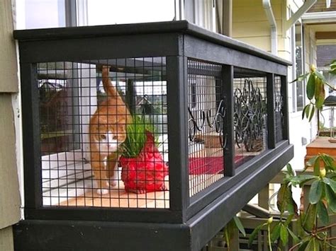 Cat window box, cat solarium & window cat sill perch: Every full-time indoor cat should have a window box (at least) - PoC