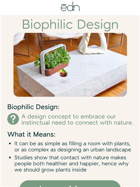 Edn Inc Biophilic Design And Why It Matters Milled