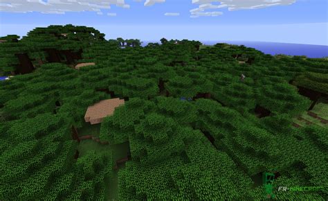 Minecraft Biome Forêt Couverte