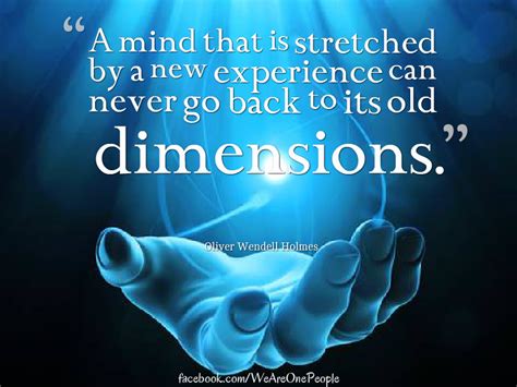 A Mind That Is Stretched By A New Experience Can Never Go Back To Its