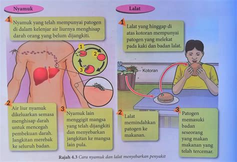 Puedes hacer los ejercicios online o descargar la ficha como pdf. Penyakit Berjangkit dan Penyakit Tidak Berjangkit