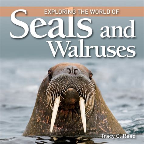 Exploring The World Of Seals And Walruses