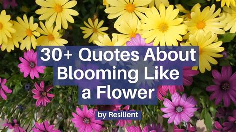 30 Quotes About Blooming Like A Flower Bloom Quotes Youtube