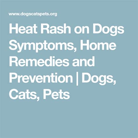 Heat Rash On Dogs Belly Treatment Traitement Pour Marque Dacné