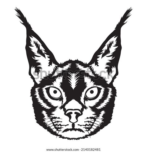 Caracal Face Vector Iilustration Hand Drawn Stock Vector Royalty Free