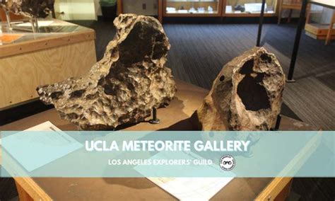 Ucla Meteorite Gallery Los Angeles Explorers Guild