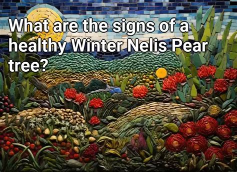 What Are The Signs Of A Healthy Winter Nelis Pear Tree Agriculture