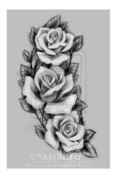 Rose Tattoo Drawings And Designs