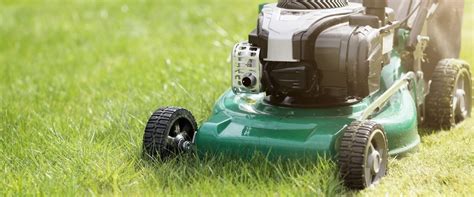 Lawn Care Basics 5 Easy Ways To Maintain Your Yard