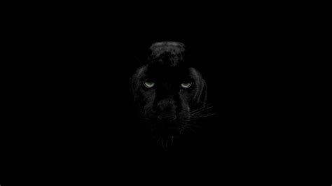 Black Panther 4k Ultra Hd Dark Wallpapers Top Free Black Panther 4k