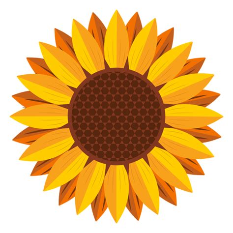 Sunflower Head Graphic Transparent Png And Svg Vector File