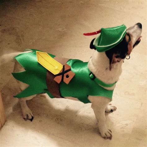 Diy Dog Costumes Dog Halloween Costumes Tulle Tutu Diy Jack Russell