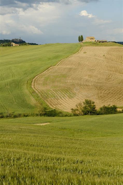 Tuscany Landscape Italy Europe Wheat Fields And A Typical Farm House