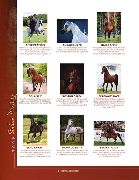Arabian Horse Worlds 2009 Stallion Directory By Arabian Horse World