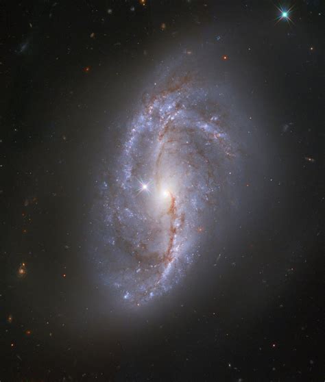 Muncul sebagai versi yang sedikit membentang, lebih kecil dari bima sakti kita, lengan spiral biru dan merah yang bercampur ditambatkan bersama oleh batang tengah horizontal galaksi yang menonjol. Galaxia Espiral Barrada 2608 : La Galaxia Espiral Barrada Ngc 1672 Desde Hubble Astronomia ...