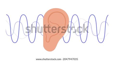 Human Ear Anatomy Auditory Icon Hearing Stock Vector Royalty Free