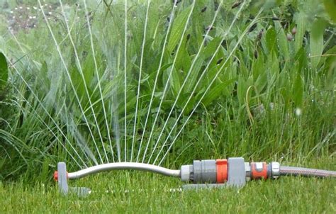 Best Automatic Plant Watering System 2019 Reviews And Guide