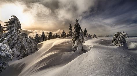 View Of Snow Covered Mountain With Trees Hd Winter