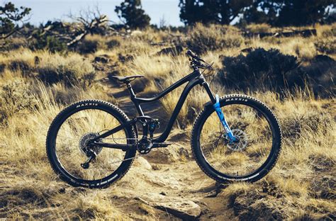 2019 Giant Trance 29er Launched