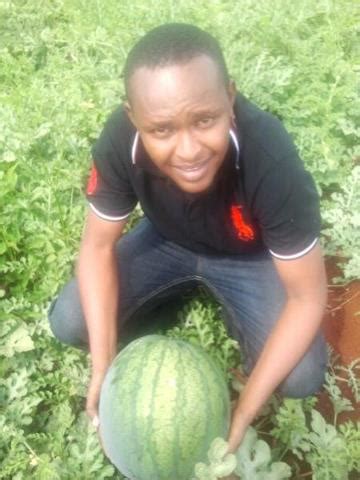 In their natural desert environment, cacti get watered only when it. Make Ksh 500,000 per acre in 3 months from Water melon ...