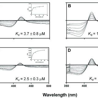 Binding Titration Of Atorvastatin To The Cyp A The Samples For