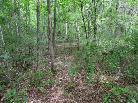 6.35 acres in Macon County, Alabama