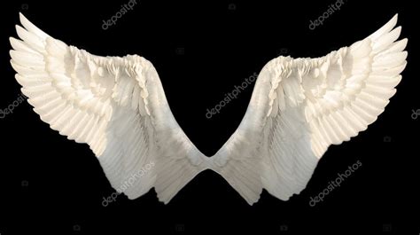 Two Wings Stock Photo By ©lilunli 2475967