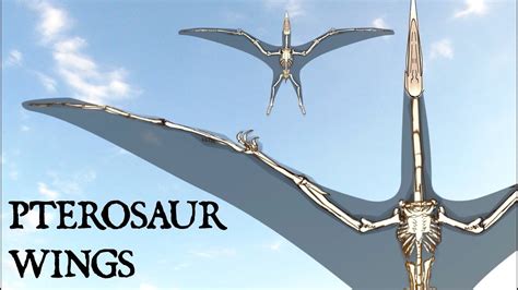 Pterosaur Wing Reconstruction With Dr Dave Hone Youtube
