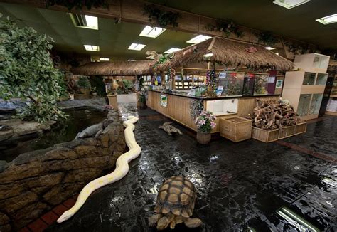 The Reptile Zoo In Southern California Is Unlike Anything Youve Seen
