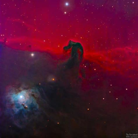 The Brilliant Horsehead Nebula Is Once Again Gracing The Early Morning