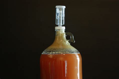 How Do I Know If My Fermentation Is Complete Urban Produce