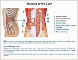 Pictures of What Exercises Build Core Strength