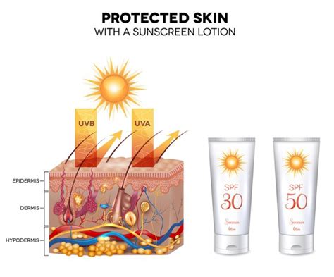 Learn more about this type of radiation, the factors that mitigate its intensity, and methods you can use to protect yourself while having fun in the sun. Different Types of UV Rays | Swinyer Woseth Dermatology