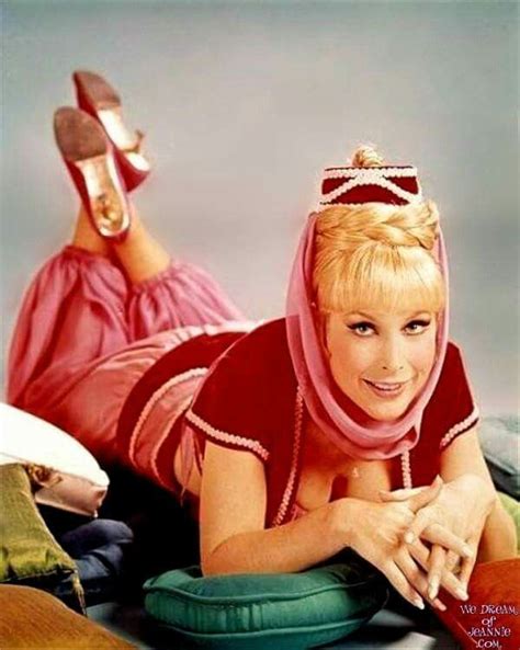 Pin By Dave Theyers On Séries Barbara Eden I Dream Of Jeannie I