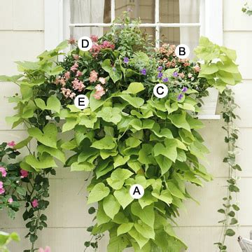 Flower box ideas for windows stunning arrangements phpdugbookmarks. My Enchanting Cottage Garden: 10 Easy, Beautiful Window ...